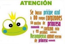 Haga click para ver la imagen ampliada se busca principe azul.jpg